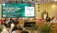 Ngoc Linh ginseng sets sights on global brand recognition
